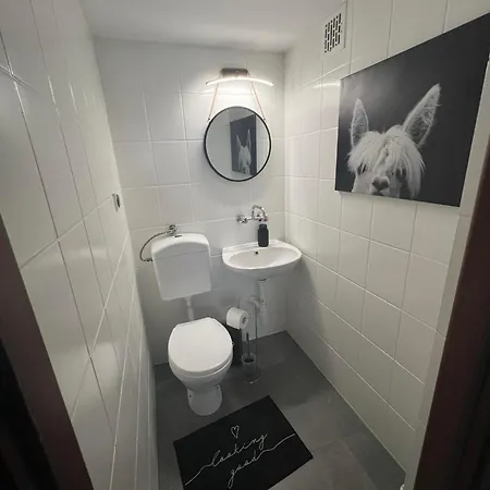 Apartment Koninki *